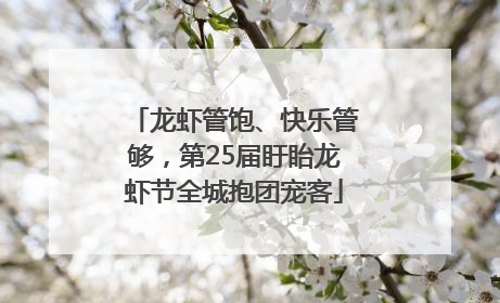 龙虾管饱、快乐管够，第25届盱眙龙虾节全城抱团宠客